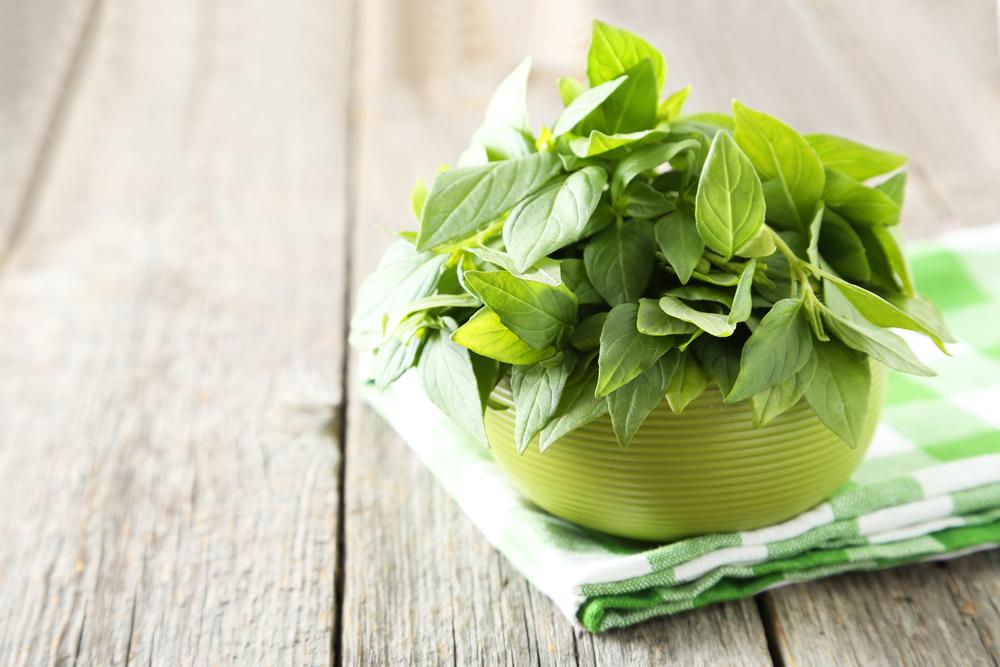 lá húng quế trị hôi miệng