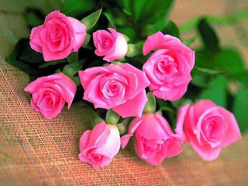 Cắm bình hoa để tăng vận đào hoa