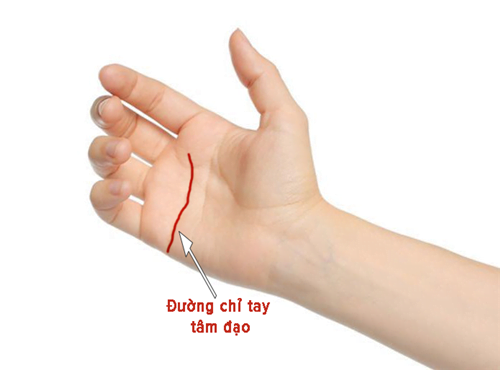 Đường chỉ tay tâm đạo dài