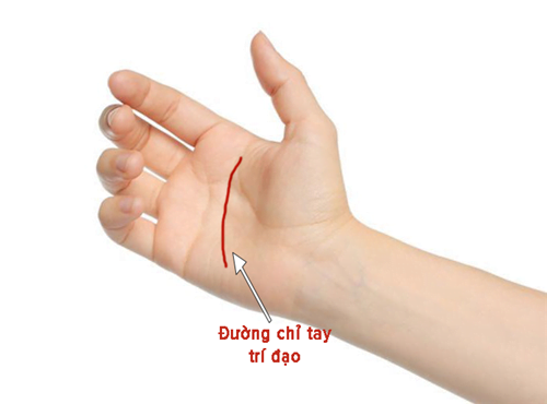 Đường chỉ tay trí đạo dài