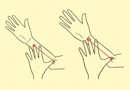 Độ dài ngắn của bàn tay