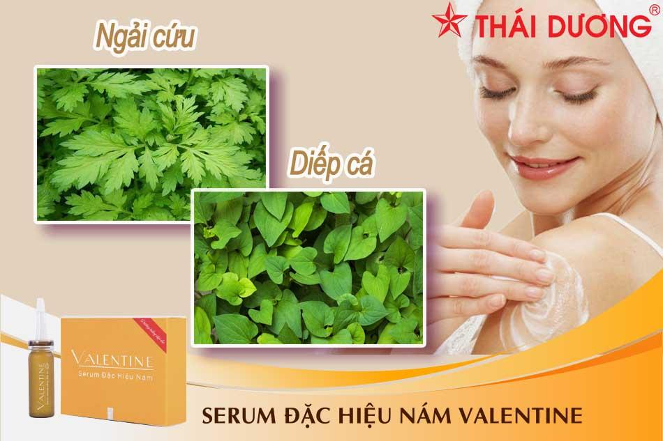 Dưỡng trắng da bằng ngải cứu và diếp cá