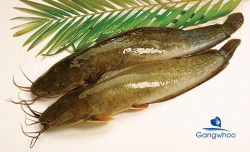 Nâng mũi ăn cá được không?