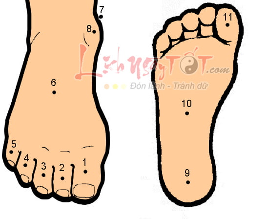 Not ruoi o chan, not ruoi toan than Nốt ruồi trên chân, xem bói nốt ruồi toàn thân