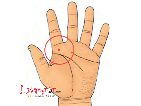 not-ruoi-son-o-go-moc-tinh