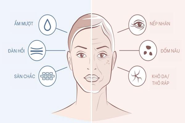 Những công dụng tuyệt vời của thành phần ceramide