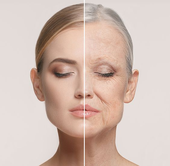 Tăng cường đàn hồi da và ngăn ngừa lão hoá