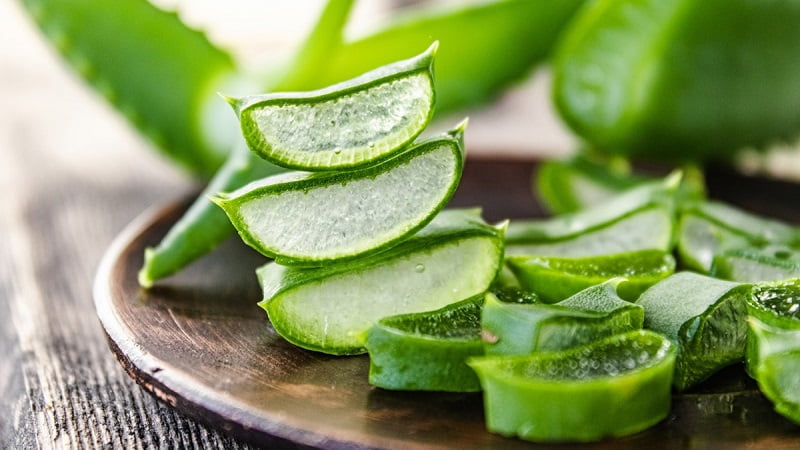 Nha đam làm mặt nạ trị sẹo thâm