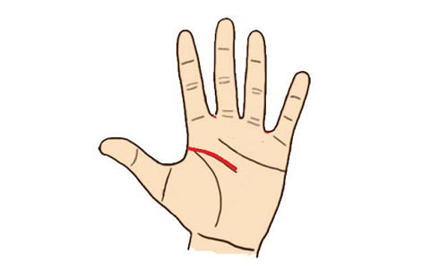 Đường chỉ tay Trí tuệ dài đến ngón giữa