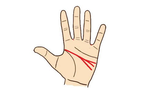 Đường chỉ tay Trí tuệ rẽ làm 3 nhánh