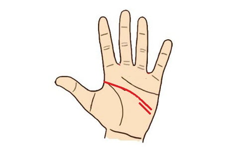 Đường chỉ tay Trí tuệ song song