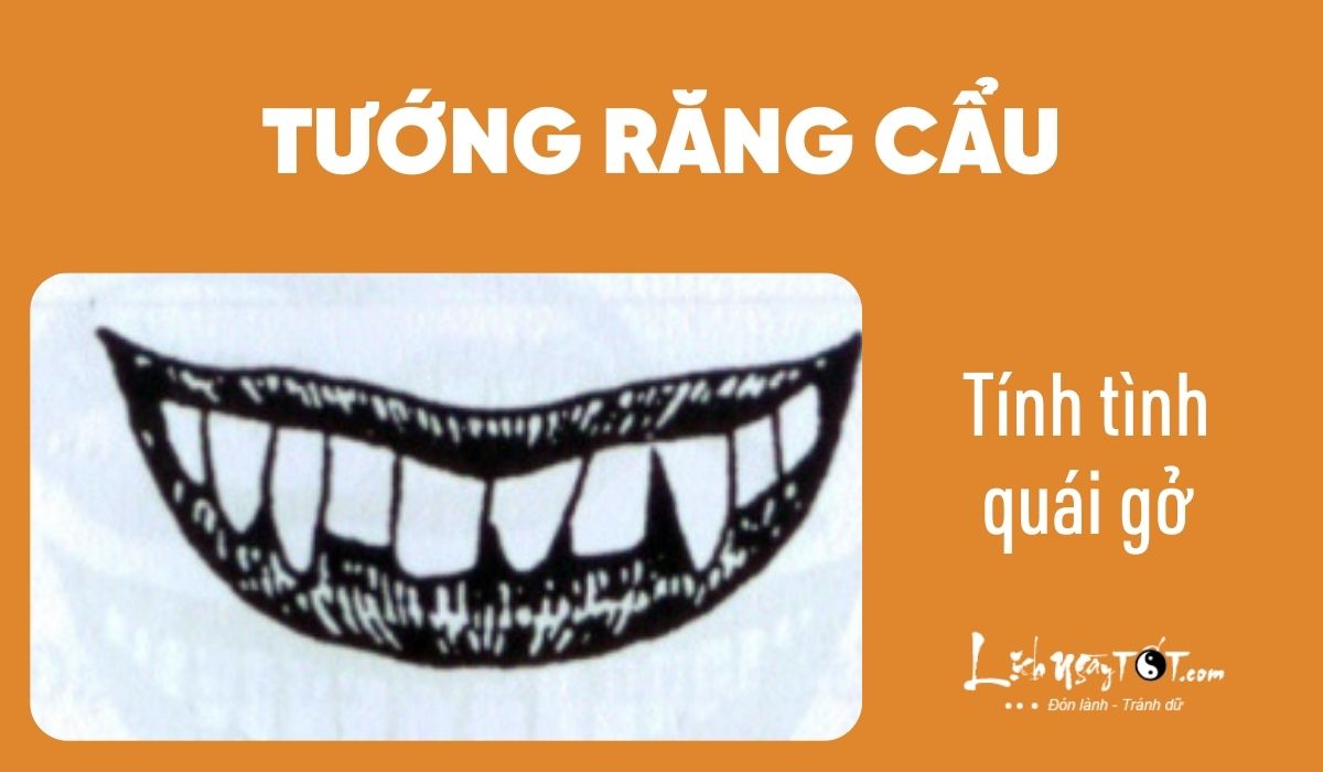 Xem nhân cách qua tướng răng - Răng chó