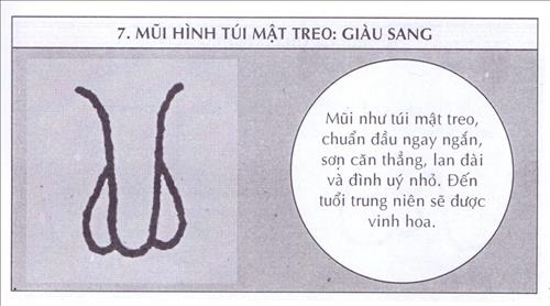 Tướng mũi huyền đảm